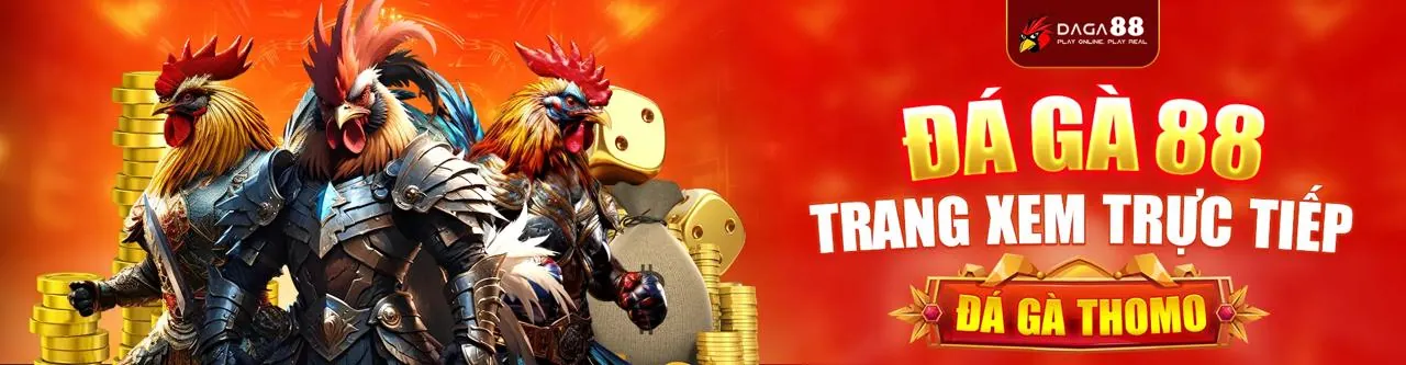 Hình ảnh chính sách cookie của AW8 Bet, bảo vệ quyền riêng tư người dùng trong cá cược trực tuyến